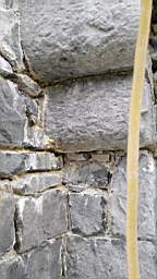 acastle
                          113240.jpg